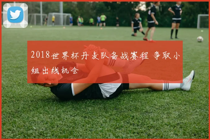 2018世界杯丹麦队备战赛程 争取小组出线机会