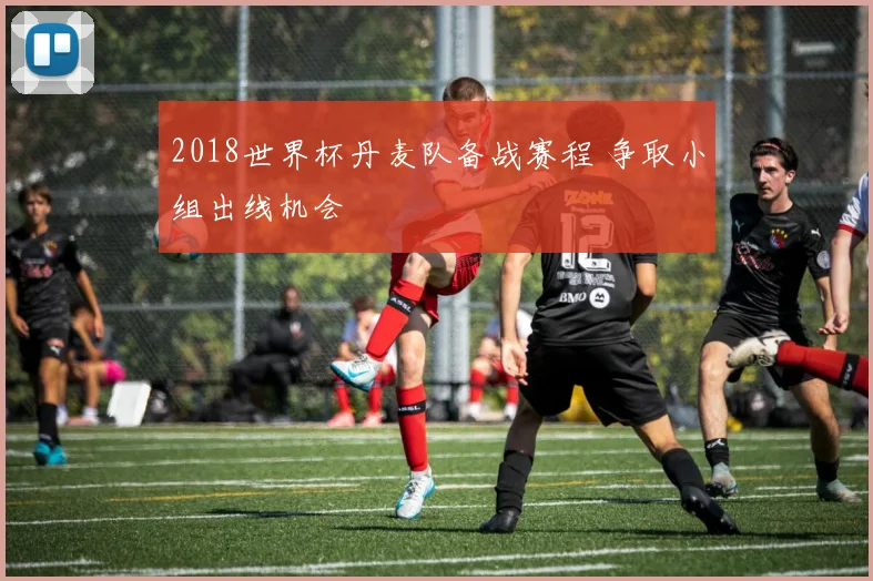 2018世界杯丹麦队备战赛程 争取小组出线机会